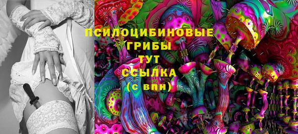 mix Белокуриха