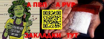 стаф Славгород